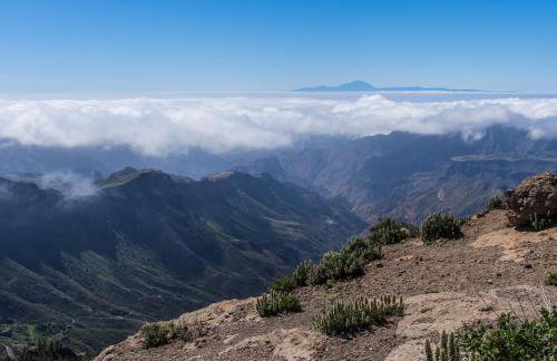 CR La Bohemia - Foto 32