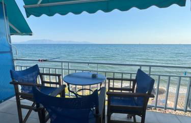 Maria Studio - Foto 2