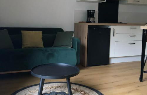 Cano'Py, charmant 2 pièces avec vue montagne en cœur de ville - Foto 9