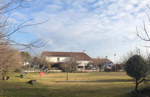 Agriturismo il Podere Vedelago con San Bernardo, Alpaca e una Pentola di cose da scoprire - Foto 59