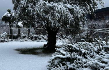 Haus Wiesenstein - Foto 5