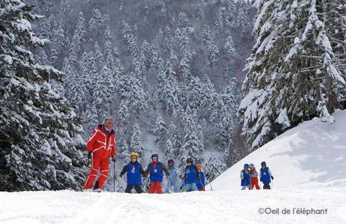 Les Gourgs Blancs - 80m des pistes - 6 personnes - Foto 27