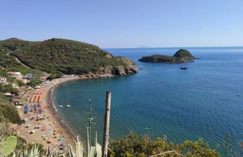 Villa dell'Ancora - Foto 23