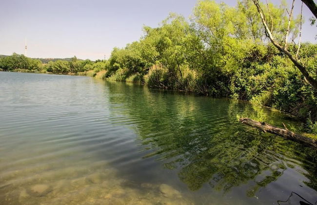 Dresdner-Tag Rosenherz - Foto 26