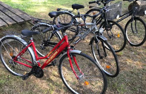 Gîtes du Moulin à Tan à Saché 37 - Photo 21