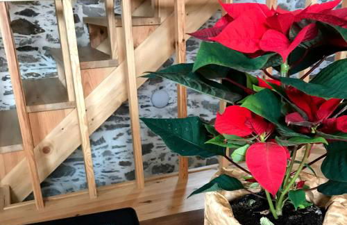 Casa do Ti Tóte - Foto 38