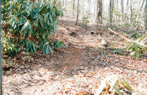 Sky Ranch by the Sunshine Collective - Foto 37