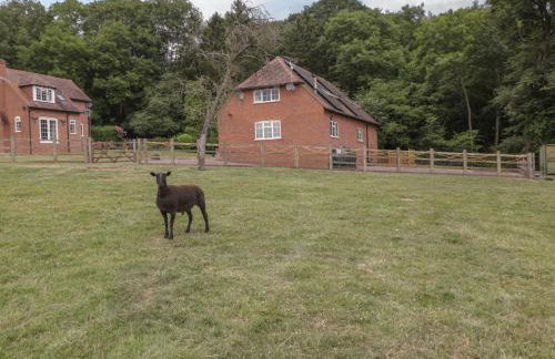 Whitlow Lodge Annex - Foto 34