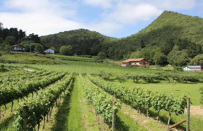 Eco Hotel Rural Angiz - Photo 56