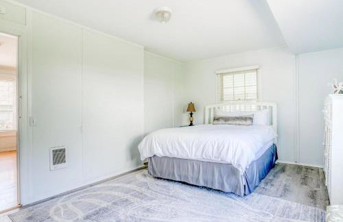 Blue Pineapple - Foto 28