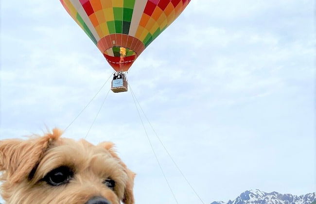 Hakuba Powder Mountain - Foto 73