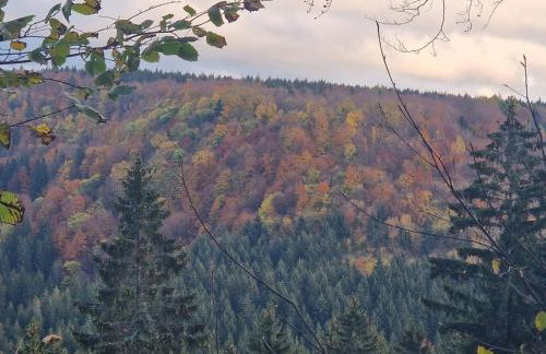 Dusznickie Apartamenty z widokiem - Foto 62