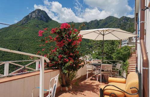 Bouganville Home - Foto 5