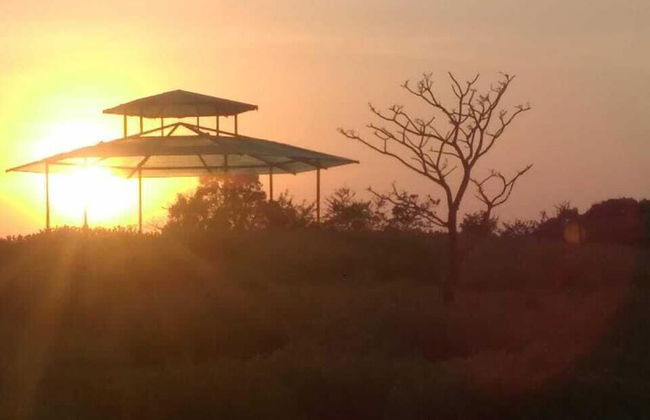 Forest Trails Adventure Resort - Foto 8