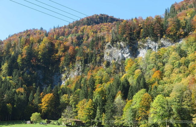 Nagelsmederij in het Huis Waldwinkel - Foto 9