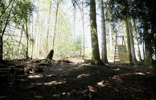 Spacious Pet-friendly Castle in Stavelot - Foto 27