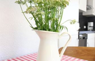 Diekje Deel - Foto 24