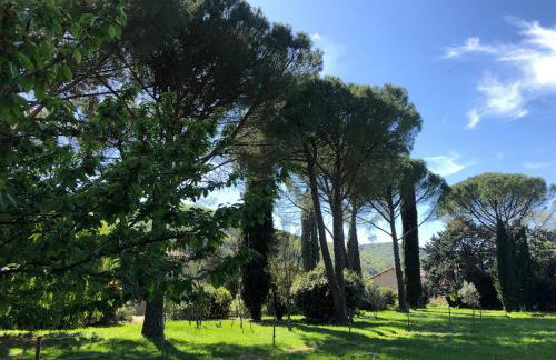 Gîte des pins - Foto 15