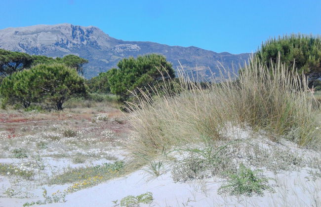 La Caletta Apartments - Foto 64