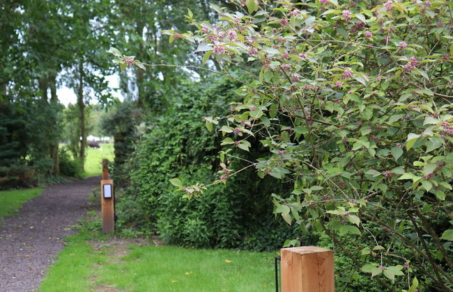 Chalet in Blesdijke Near Weerribben Park - Foto 25