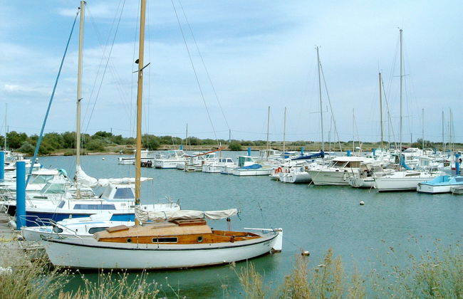 Domaine Les Mûriers - Foto 49