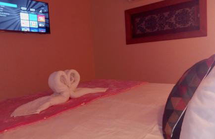 Loft Praia Parque Golfinhos - Foto 7