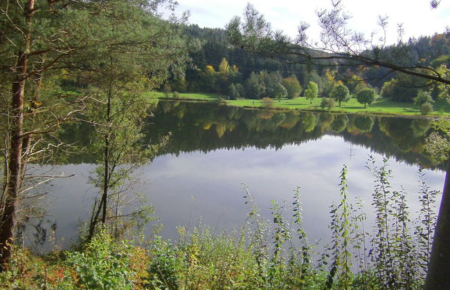 Apartment in the Odenwald With Terrace - Foto 29
