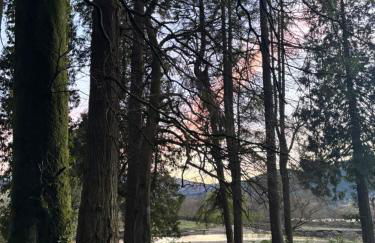 North Lodge Kilmun - Foto 72