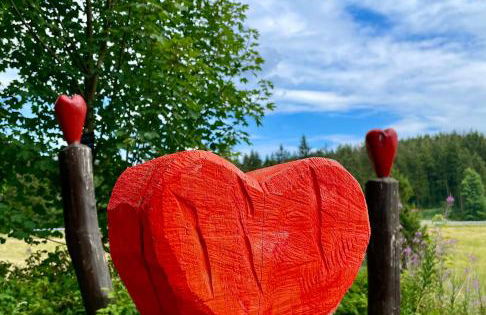 Ferienwohnung Harzurlaub - Photo 39