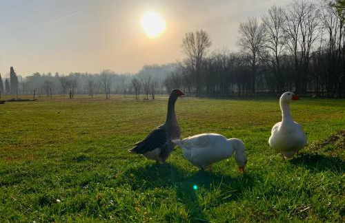 Agriturismo La Montina - Foto 30