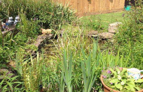 Hops and the Vines - Foto 2