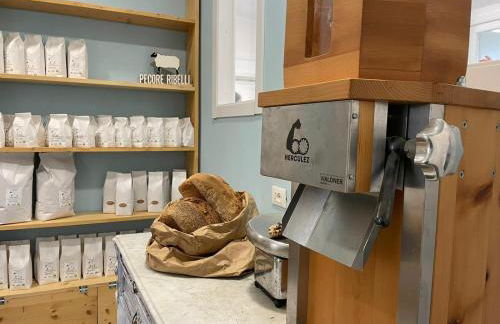 Pecore Ribelli - Photo 38