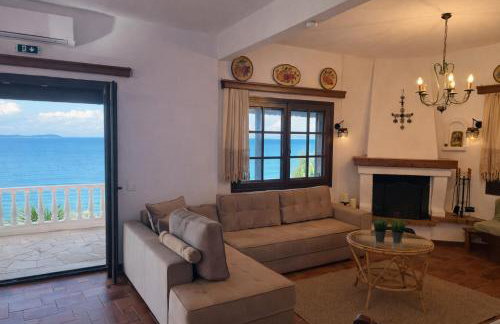 Blue Dandelion - Photo 15