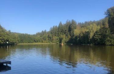 Modernes und behagliches Einliegerapartment, 50 qm-deine Ruheoase- - Foto 19