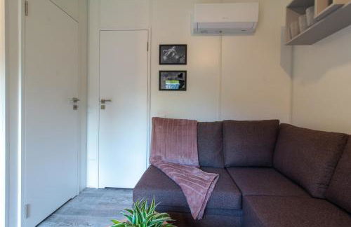 Iguana - Das Tiny Haus am Reptilienzoo Reptilium - Foto 17