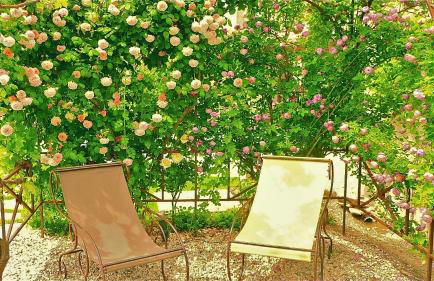 Ferme St Roch - Foto 9