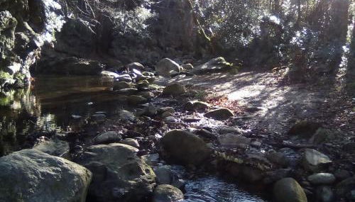 Maison Chêne Liège - Foto 4