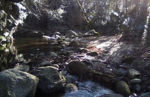 Maison Chêne Liège - Foto 4