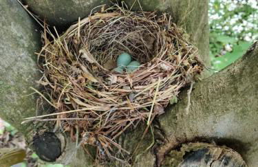 Agriturismo Cantarana - Foto 11