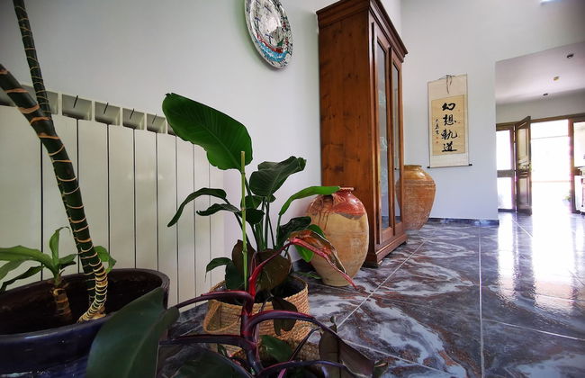 Villa Irene - Foto 15