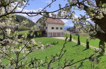 Aschnerhof Auf´m Egg - Photo 1