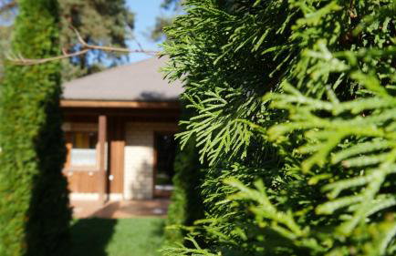 Białe Brenno - Foto 24