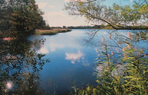 Nice Home In Rechlin With Sauna - Photo 19