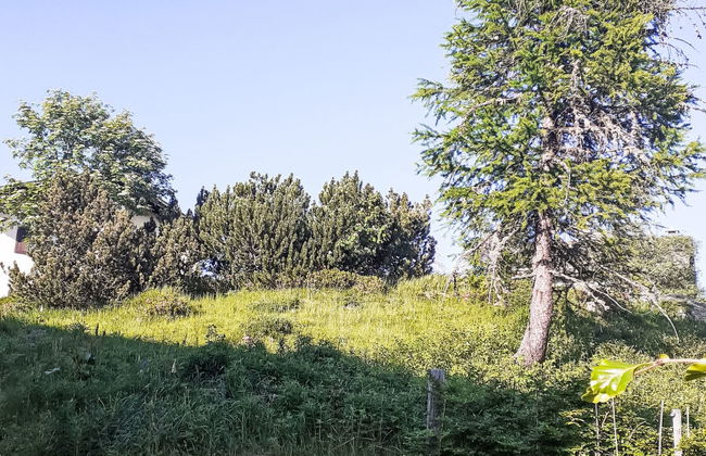 Casa La Planüra - Foto 33