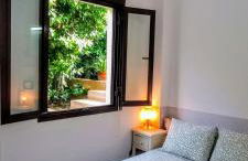 El laurel y el limonero. - Foto 25