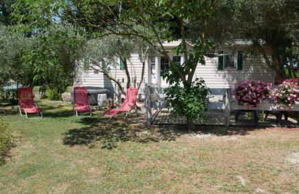 Mas Maurane - L'Olivier avec SPA privé aux portes d'ARLES - Foto 1