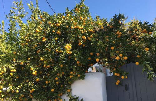 Garden Village House in Pythagorio-Hora, Samos Island - Foto 13