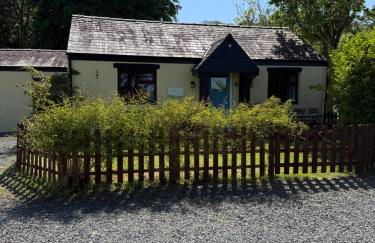 Cornflower - Photo 2