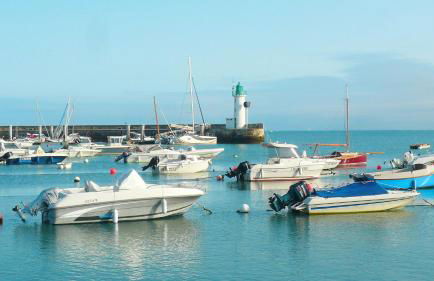 Le Phare des Baleines - Foto 24