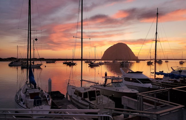 Gray's Inn & Gallery - Foto 27